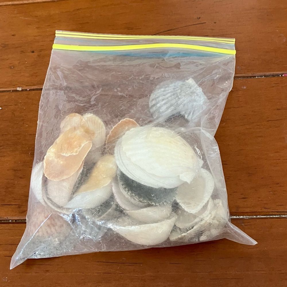 Assorted Shells